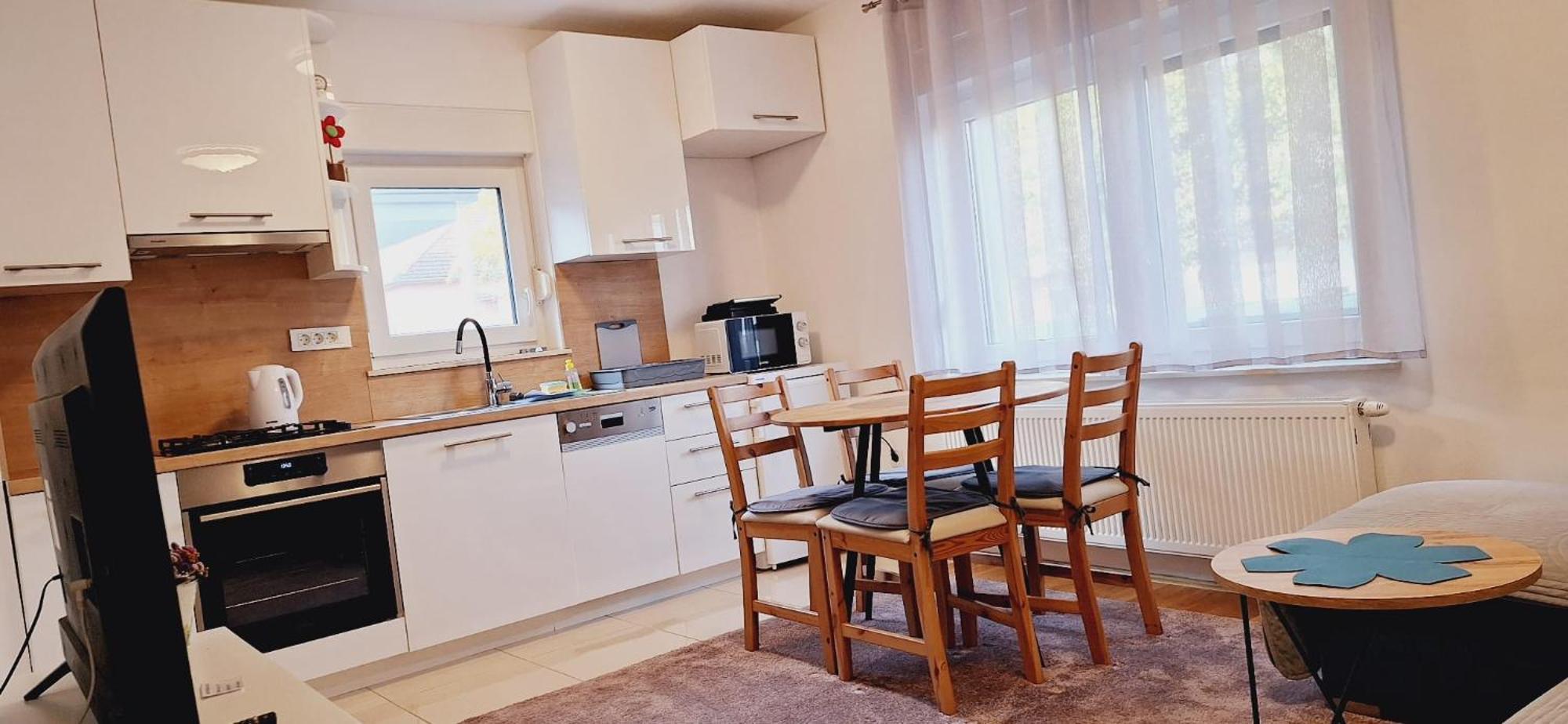 Apartment Silvia Zagabria Esterno foto